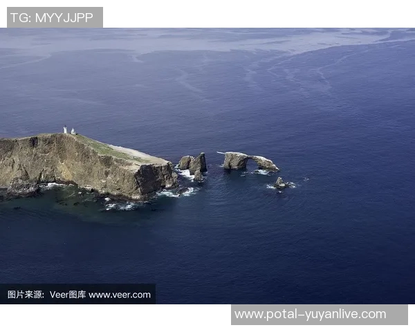 文图拉县与南加州的精彩对决揭示地区文化与经济发展的新机遇