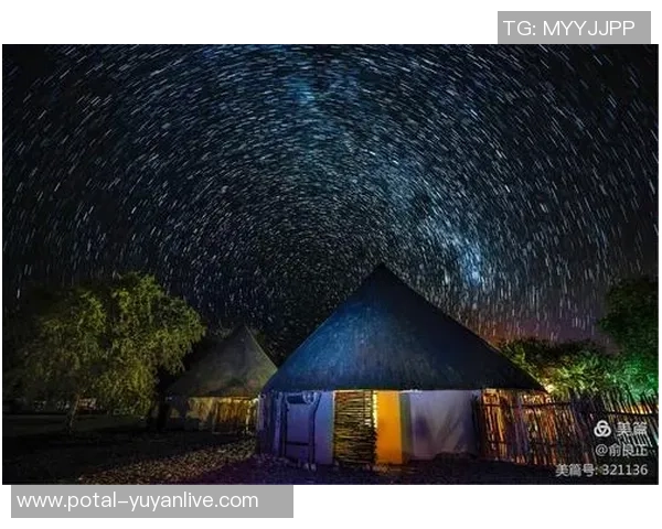 李泓澎的艺术之路与人生哲学探索：从初心到梦想的追寻与实现