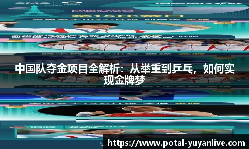 雨燕高清直播
