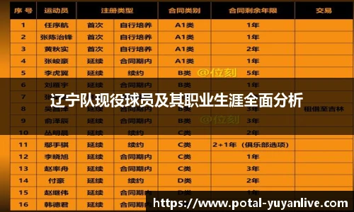 辽宁队现役球员及其职业生涯全面分析