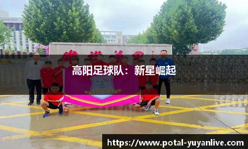 雨燕直播
