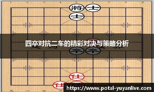 雨燕体育
