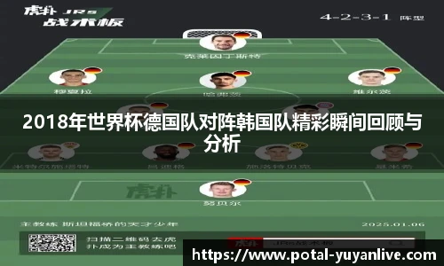 雨燕体育