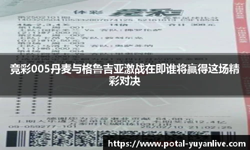 雨燕体育