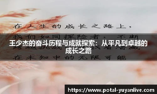 雨燕体育直播