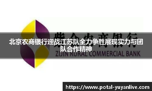 雨燕高清直播