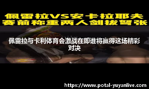 雨燕体育直播