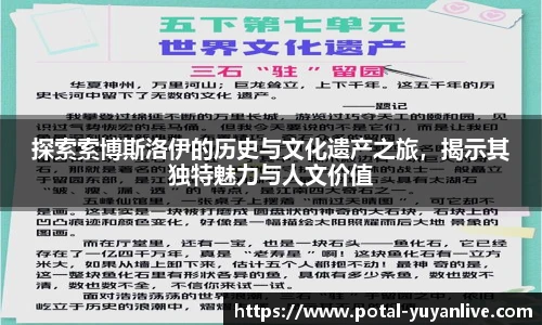 雨燕体育
