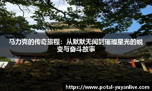 雨燕直播